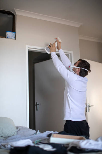 Best Attic Mold Removal  in Mishicot, WI