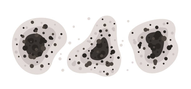 Best Air Quality Testing for Mold Spores  in Mishicot, WI