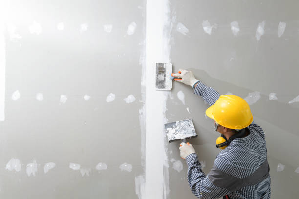 Best Forensic Mold Investigation  in Mishicot, WI