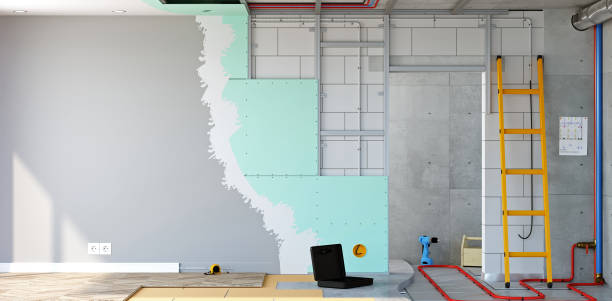 Best Emergency Mold Remediation  in Mishicot, WI