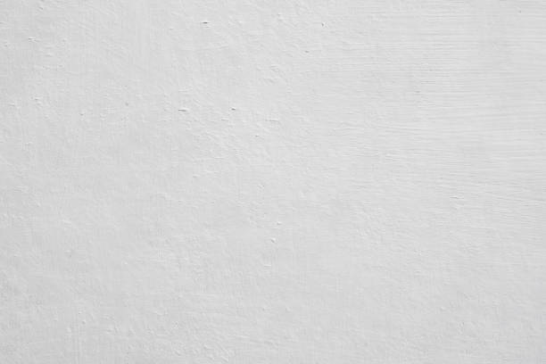 Best Mold Damage Restoration  in Mishicot, WI