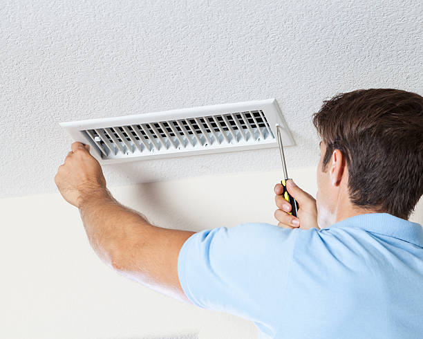 Best Mold Odor Removal Services  in Mishicot, WI