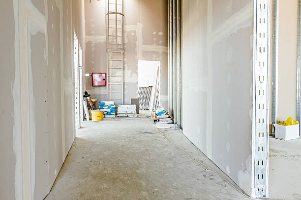 Best Mold Prevention Services  in Mishicot, WI